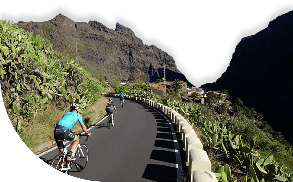 Guided road bike tours